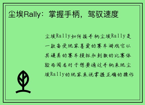 尘埃Rally：掌握手柄，驾驭速度