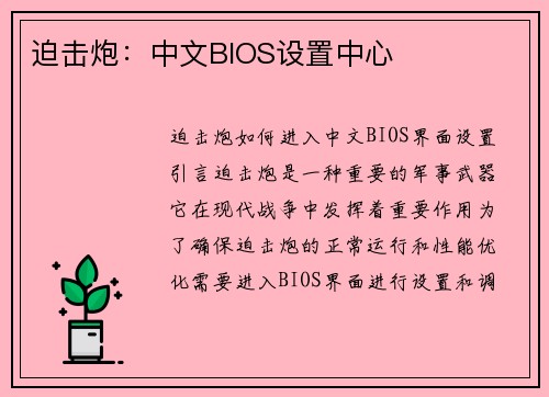 迫击炮：中文BIOS设置中心